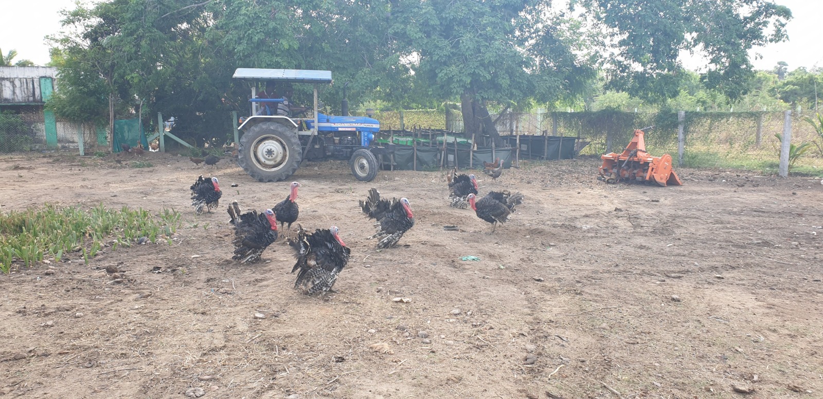Vasu Farm Vasantham Organic – 100% organic